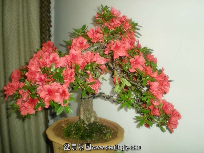 DSCN2742_.jpg