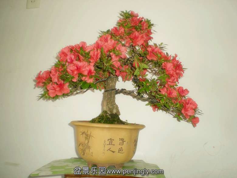 DSCN2748_.jpg