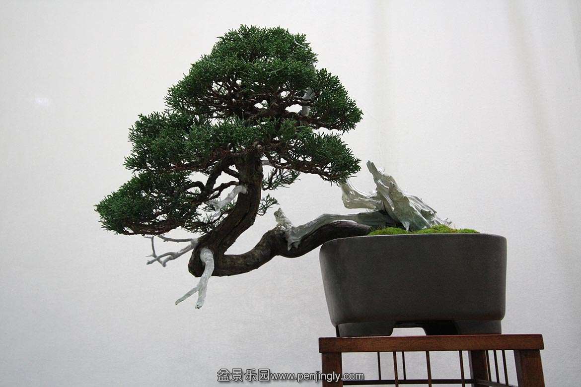 BestChuhin.jpg