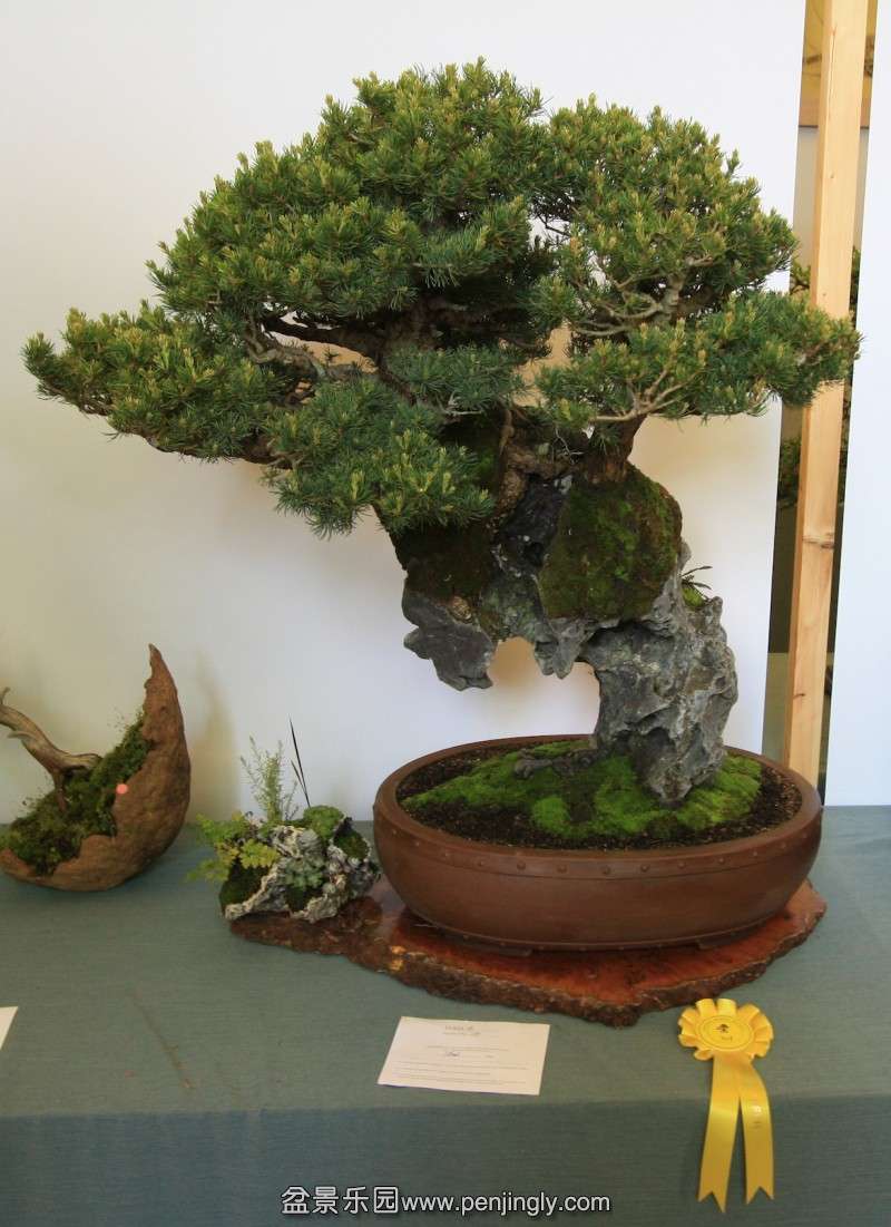 conew_Group-4-3rd-place.jpg