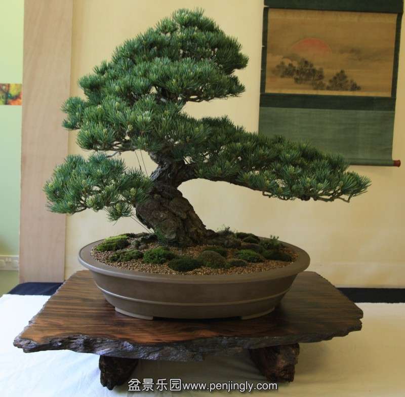 conew_img_0023.jpg