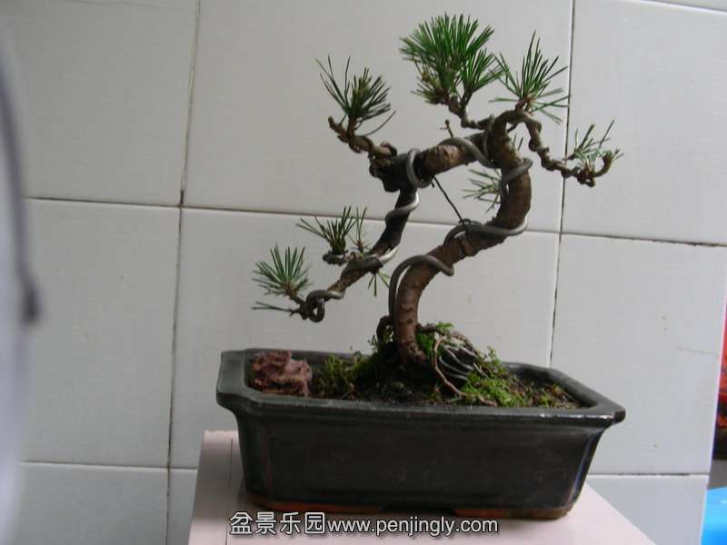 DSCN3709.JPG
