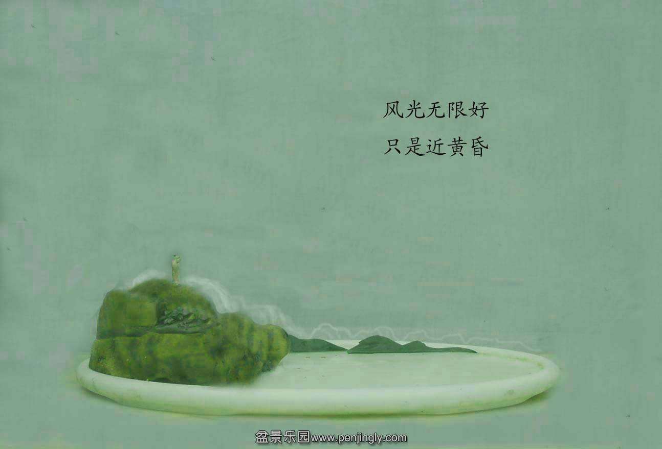 DSCN3249 .jpg