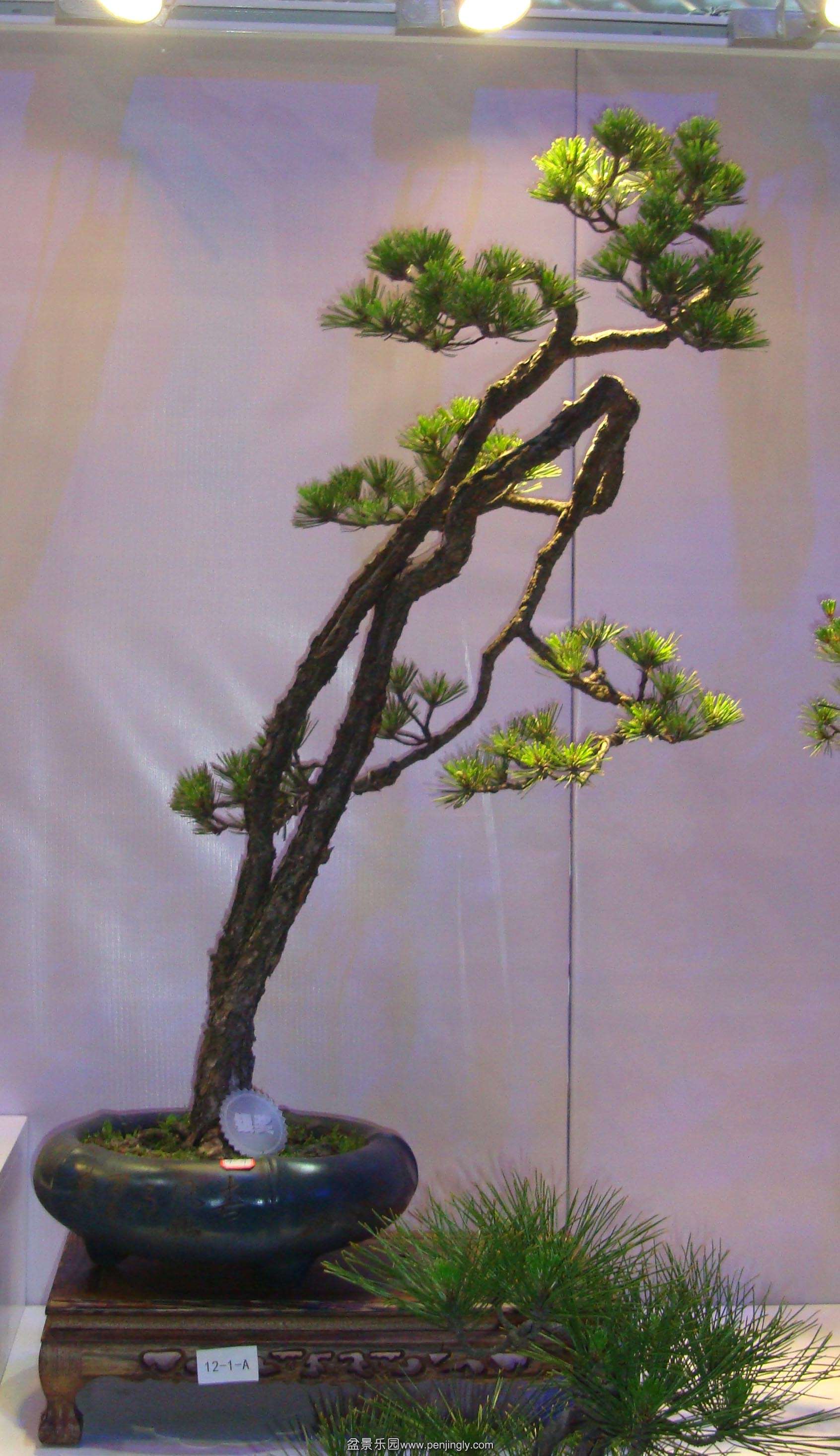 DSC070031.jpg