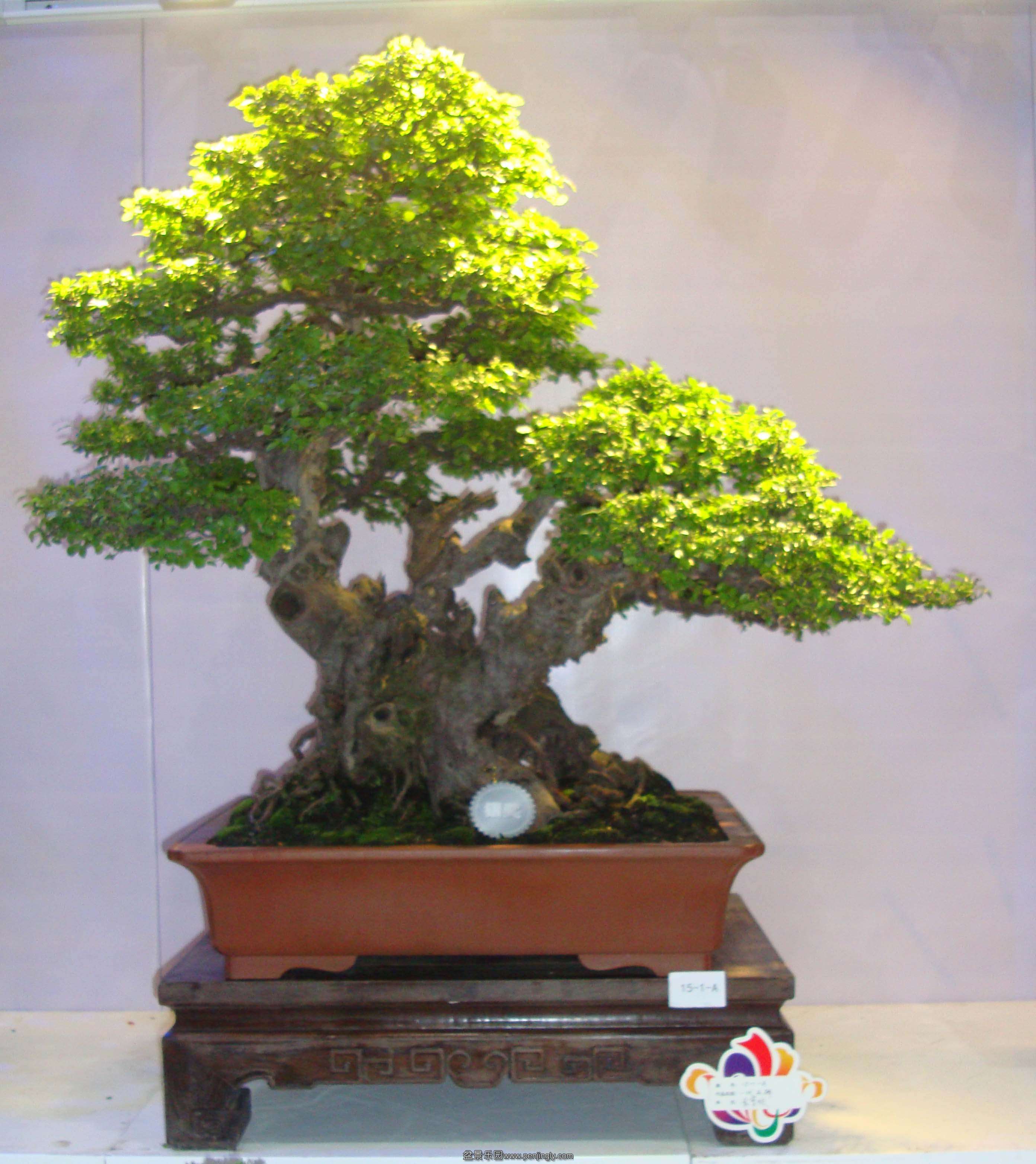 DSC070101.jpg