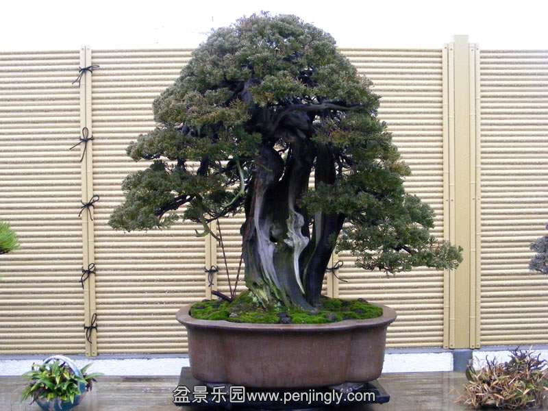 541.jpg