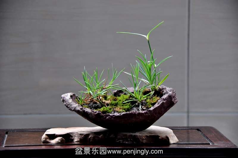 nEO_IMG_DSC_2662.jpg