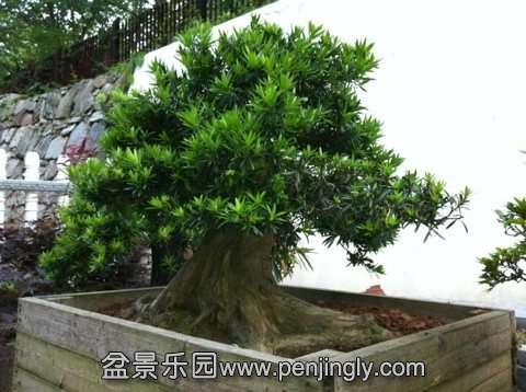 ��76���֣�ֱ��32����