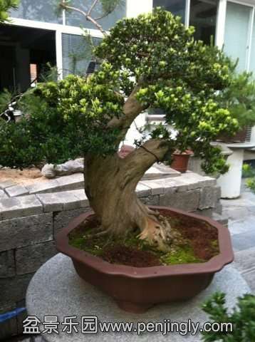  ��78���֣�ֱ��26����