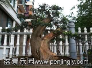  ��1.2�ף�ֱ��52����