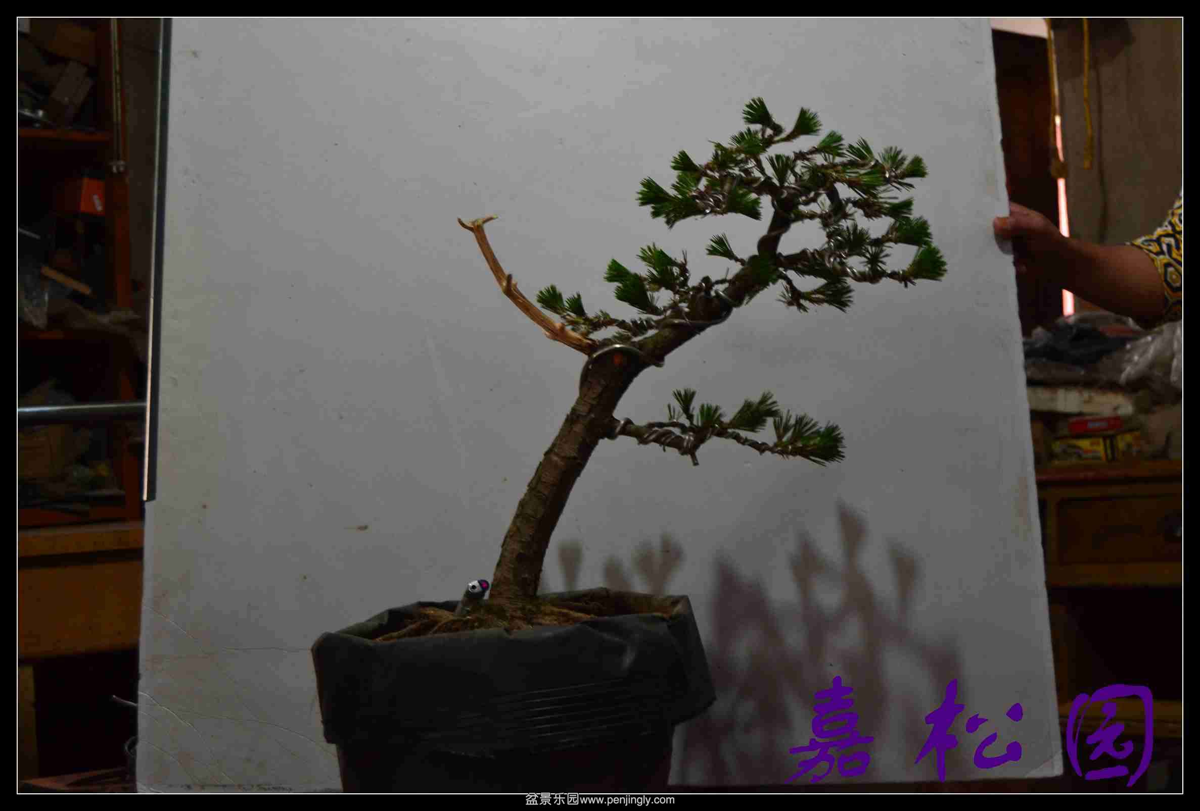 20140227 001.JPG