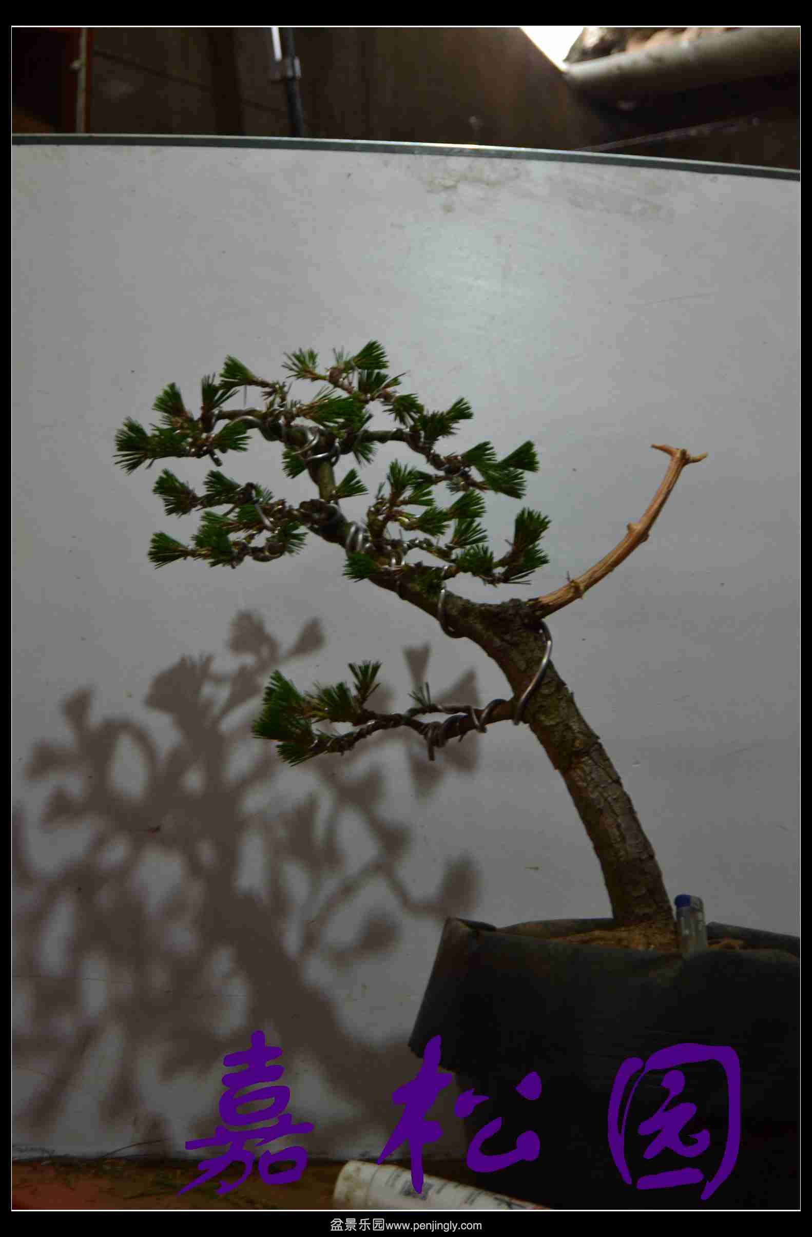 20140227 004.JPG
