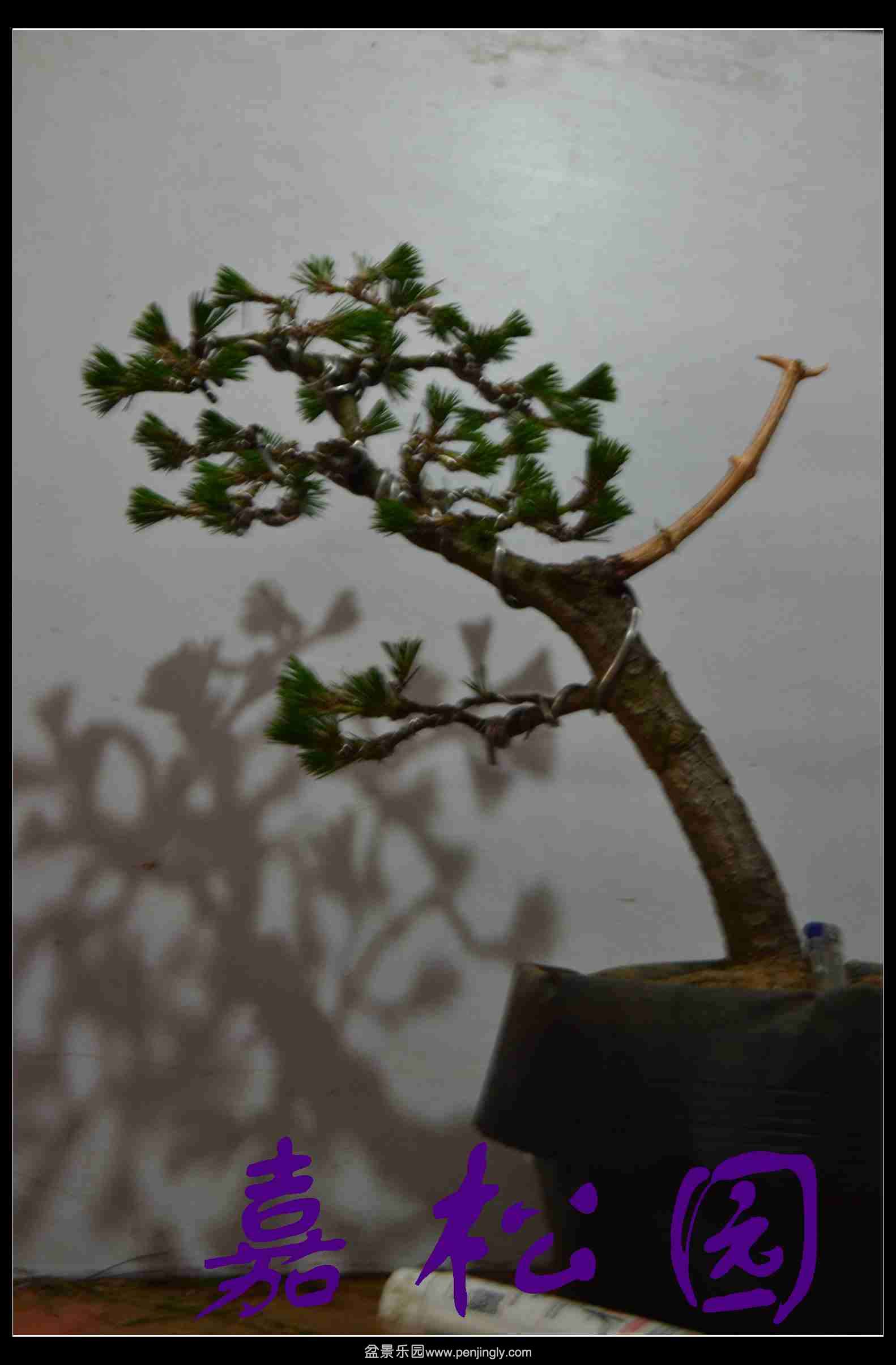 20140227 005.JPG
