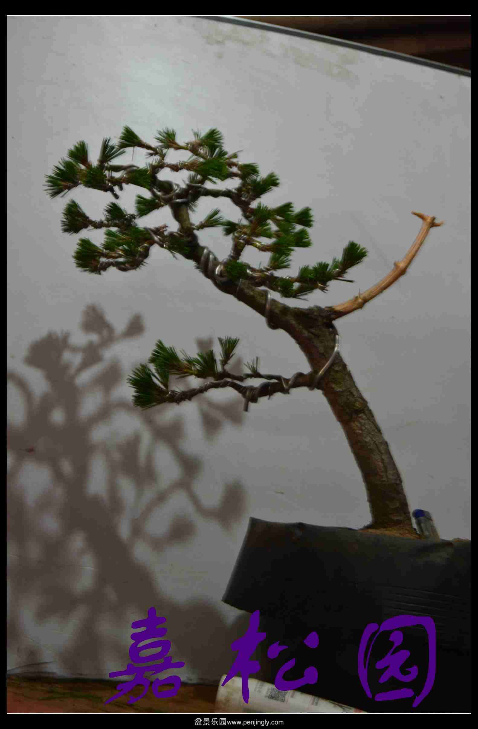 20140227 006.JPG
