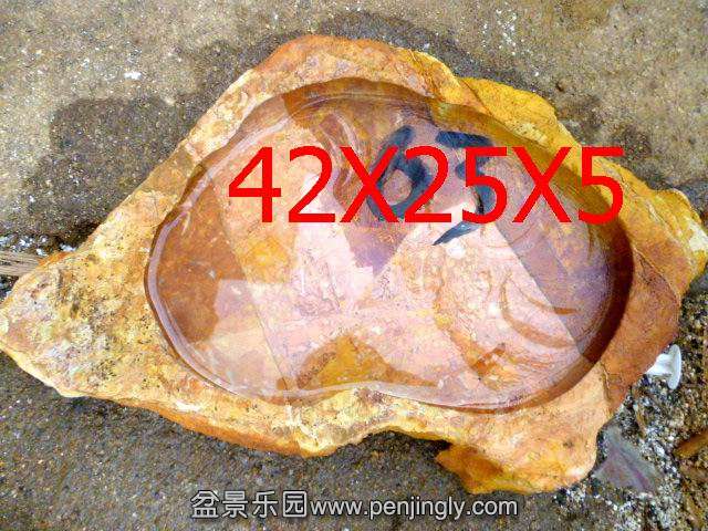 ع P1040083.JPG