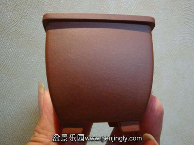 DSC08300.JPG