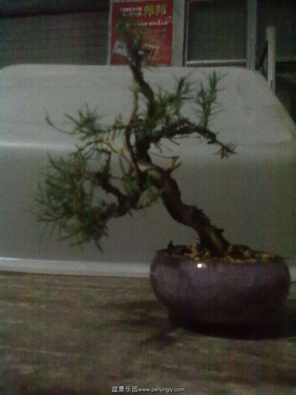 20140528871.jpg