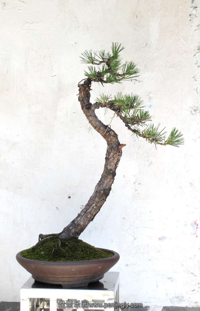 0010.JPG