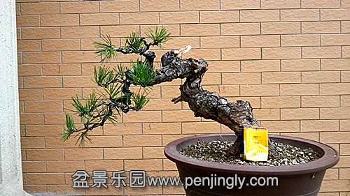 20140529_162819_.jpg