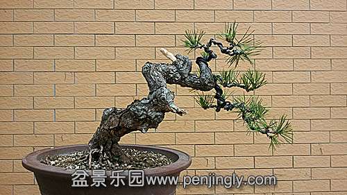 20140529_162750(1)_.jpg