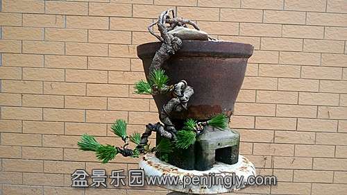 20140529_164413_.jpg