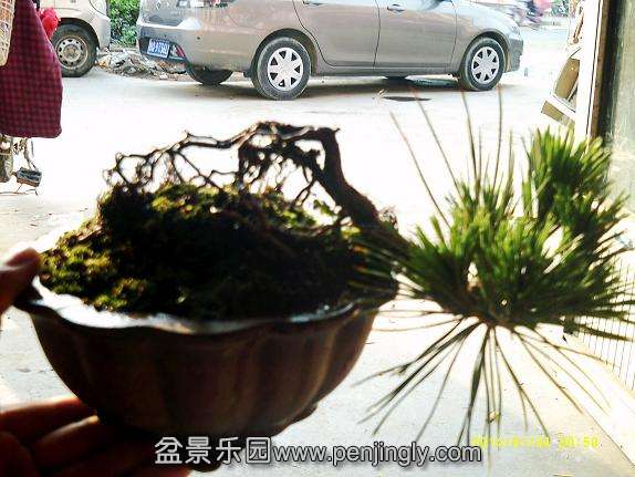 DSCF0011_conew1.JPG