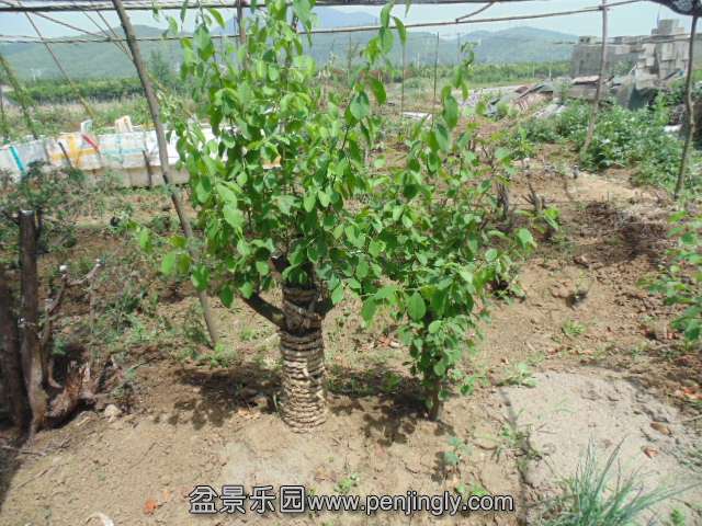 DSC03759.JPG