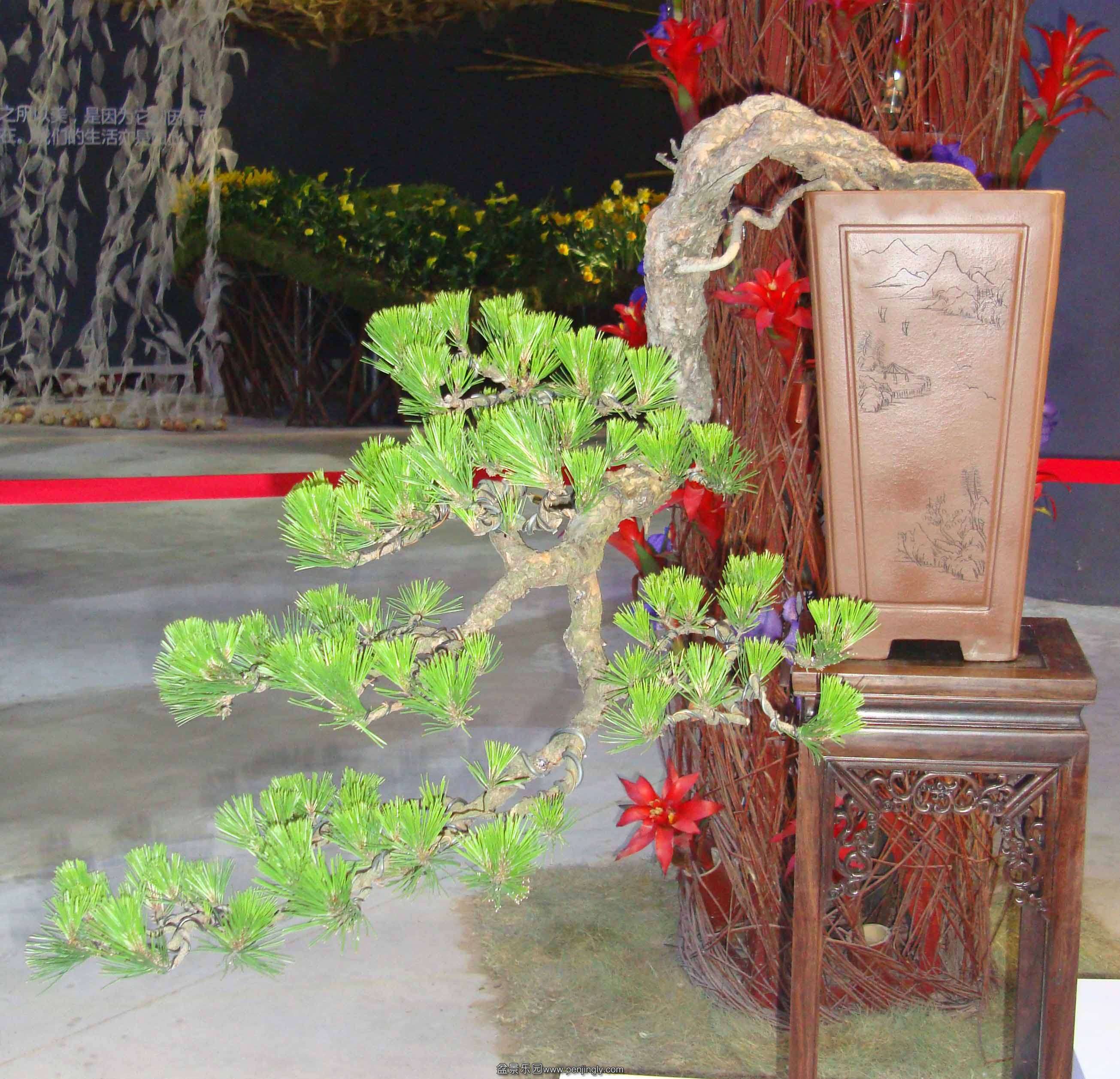 DSC07001111.jpg