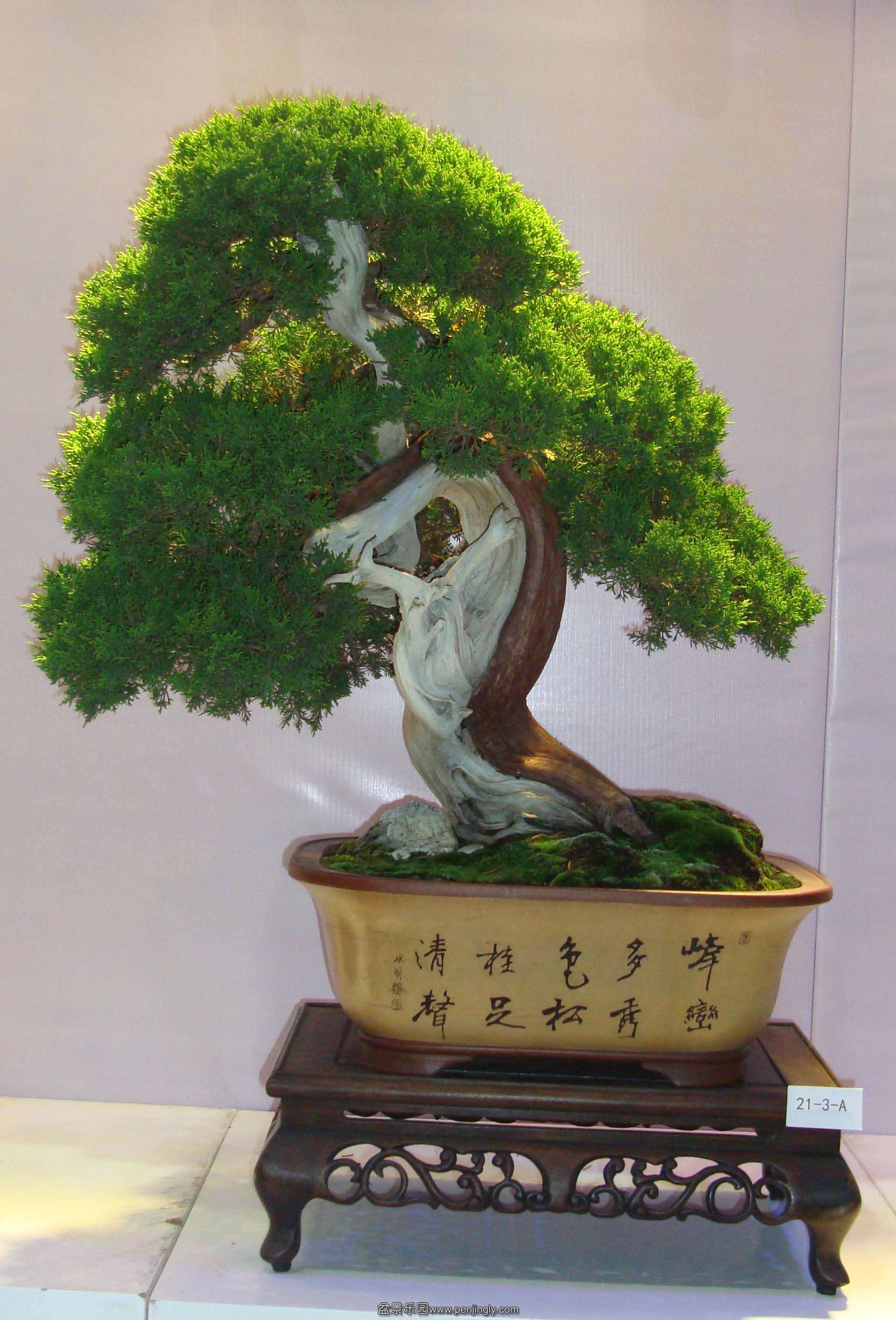 DSC07006111.jpg