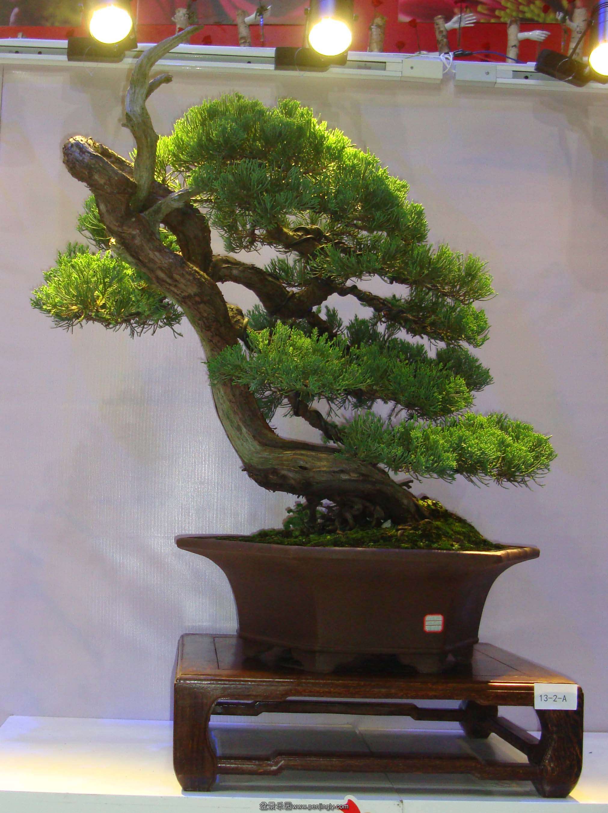 DSC07041111.jpg