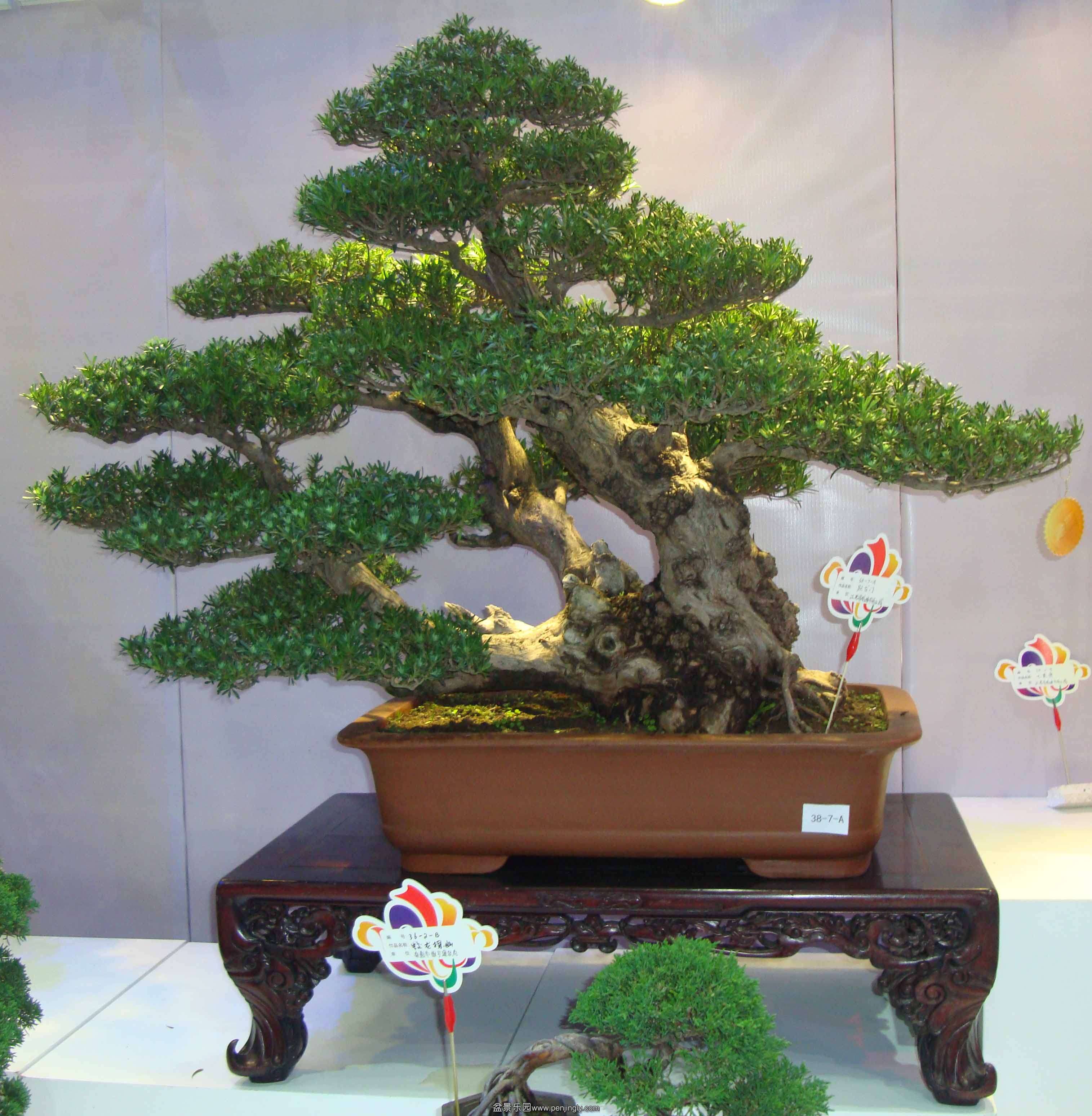 DSC07051111.jpg