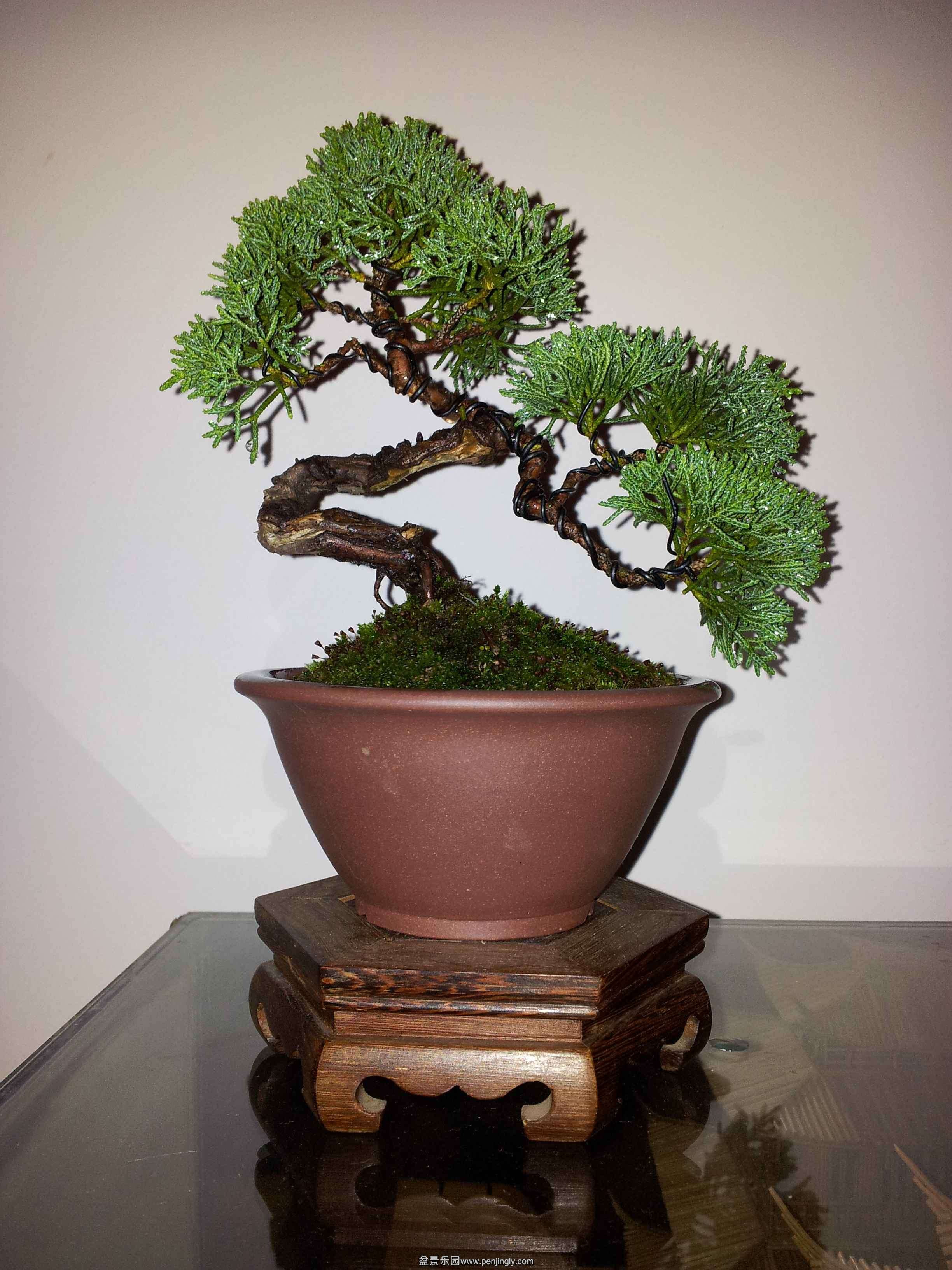 С�������6��