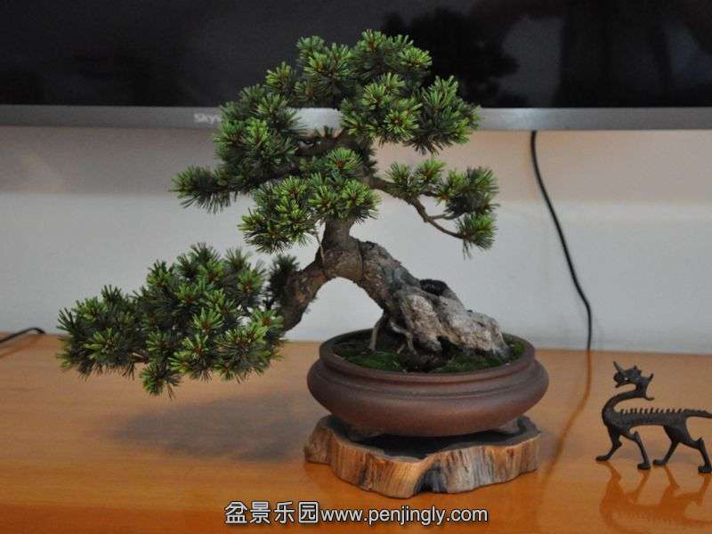 DSC_1025_a.jpg