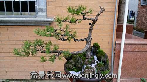 20140601_182820_.jpg