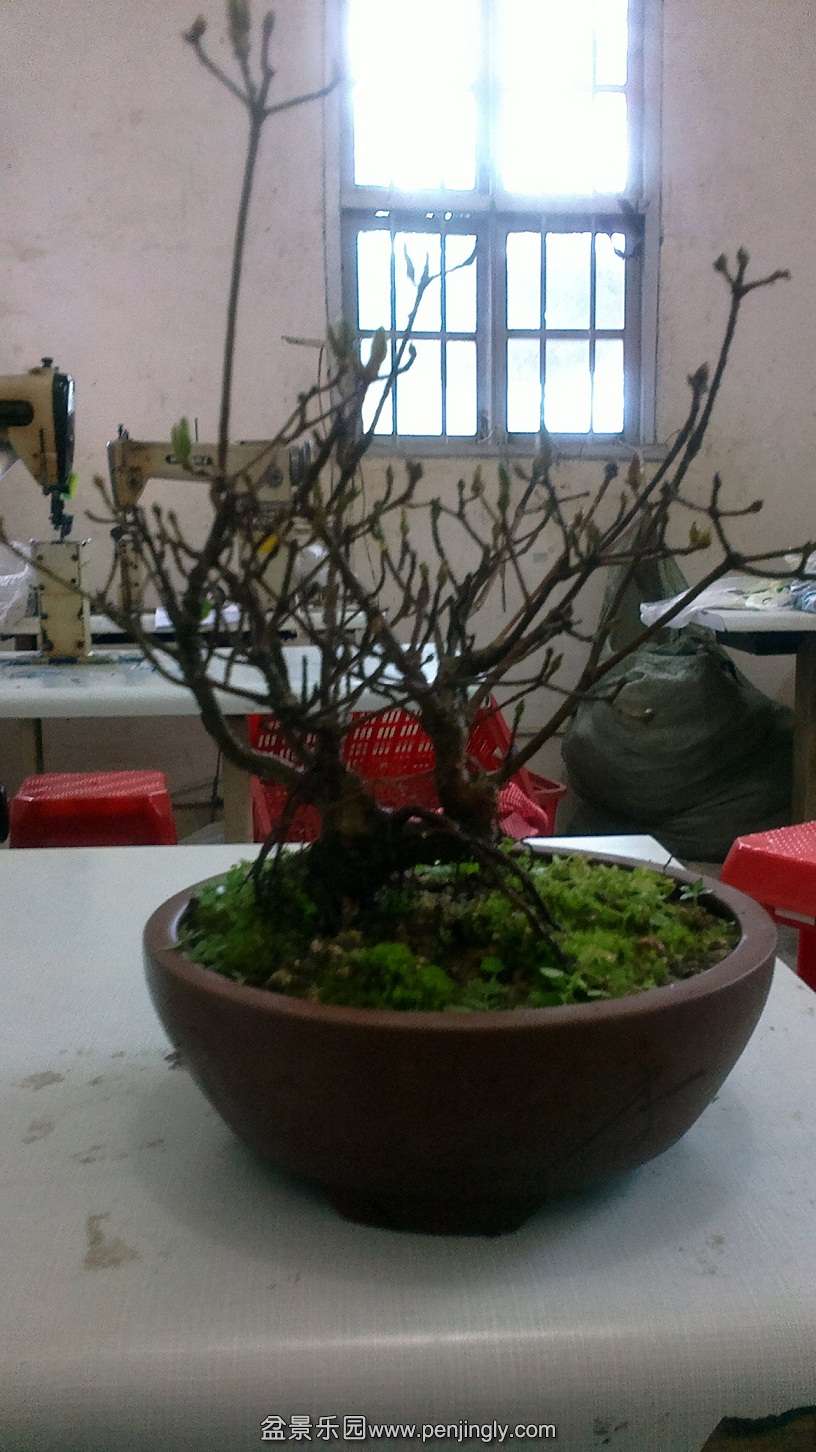 һСž