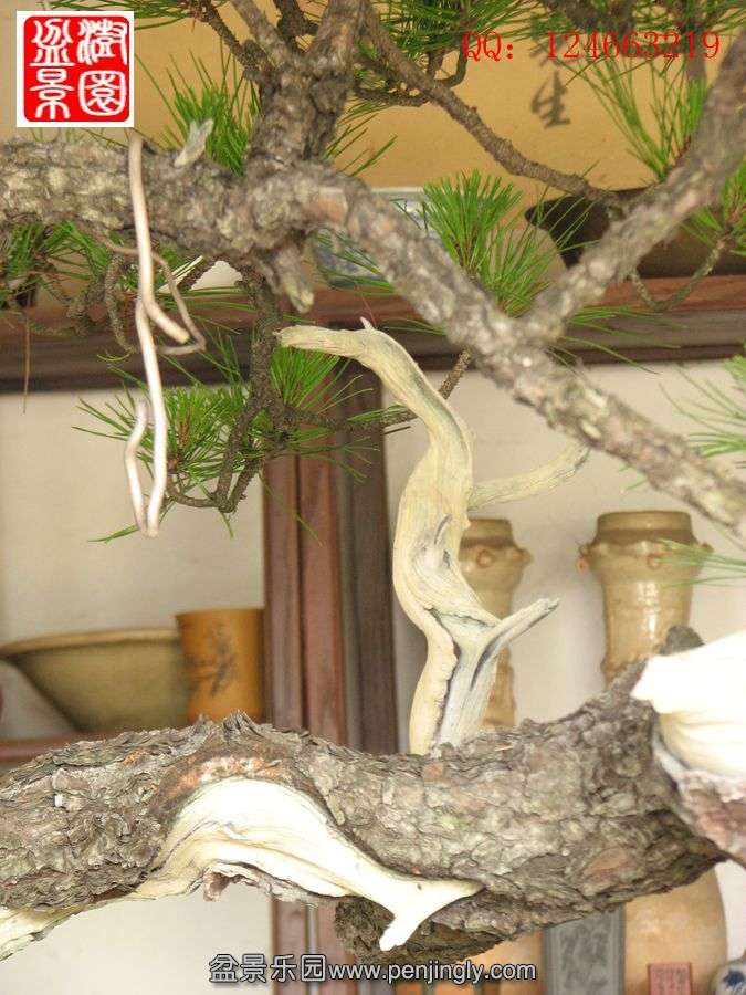 IMG_1504_.jpg