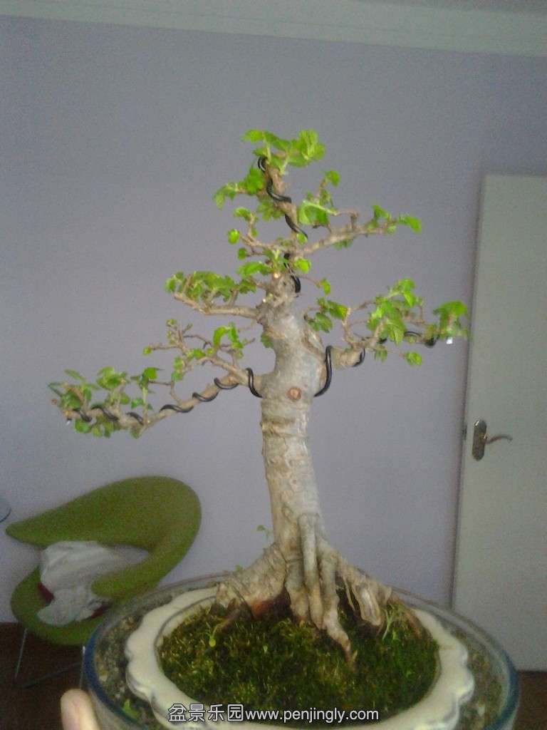 2014-03-31 10.58.18_Ŀѹ.jpg