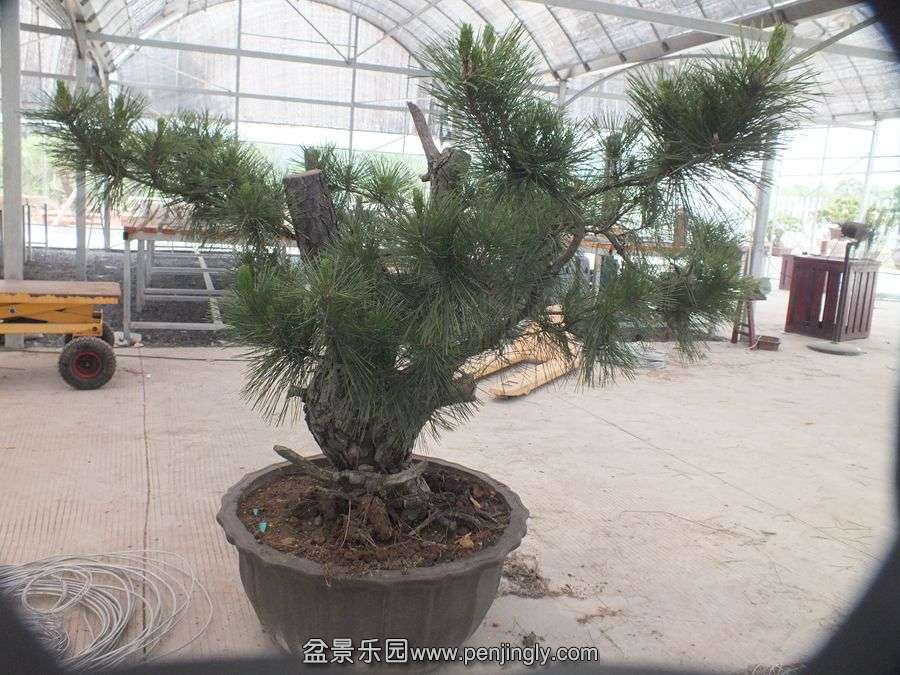 2_.jpg