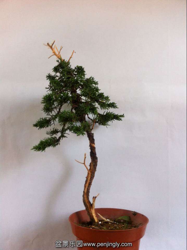 QQͼƬ20140608095954.jpg