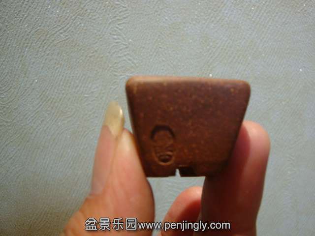 DSC08312.JPG