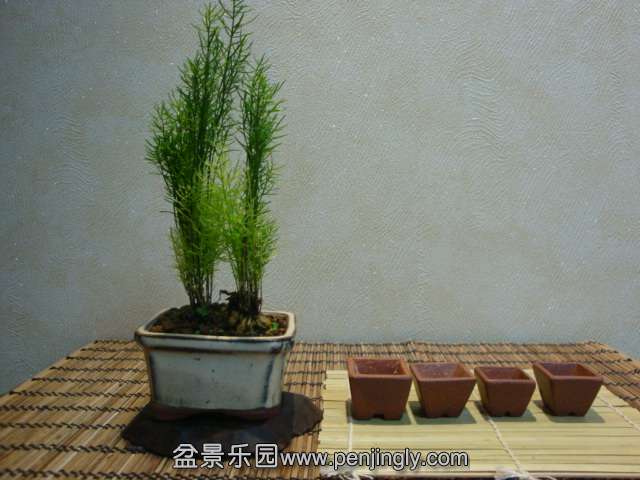 DSC08309.JPG