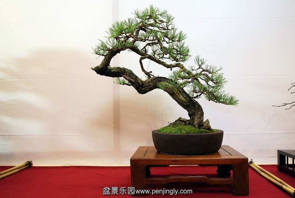 DSC08830.jpg