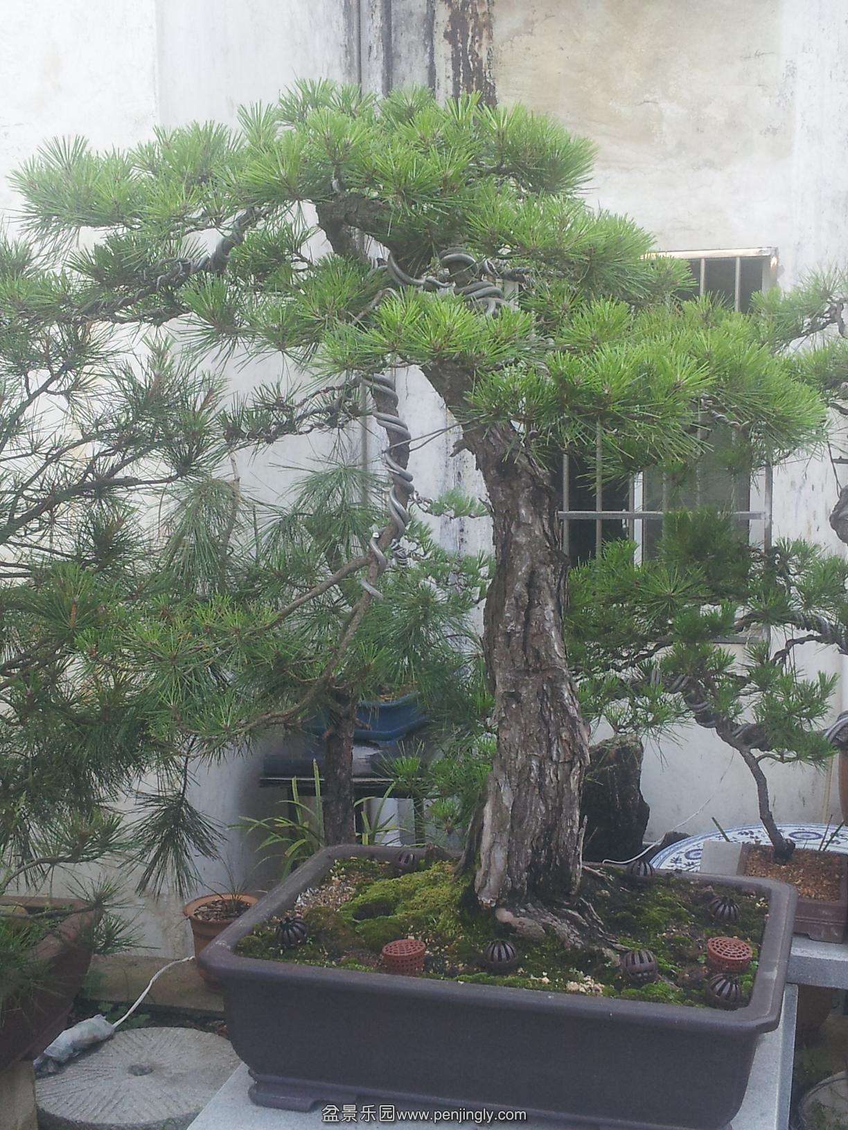 20140601_163550-9.JPG