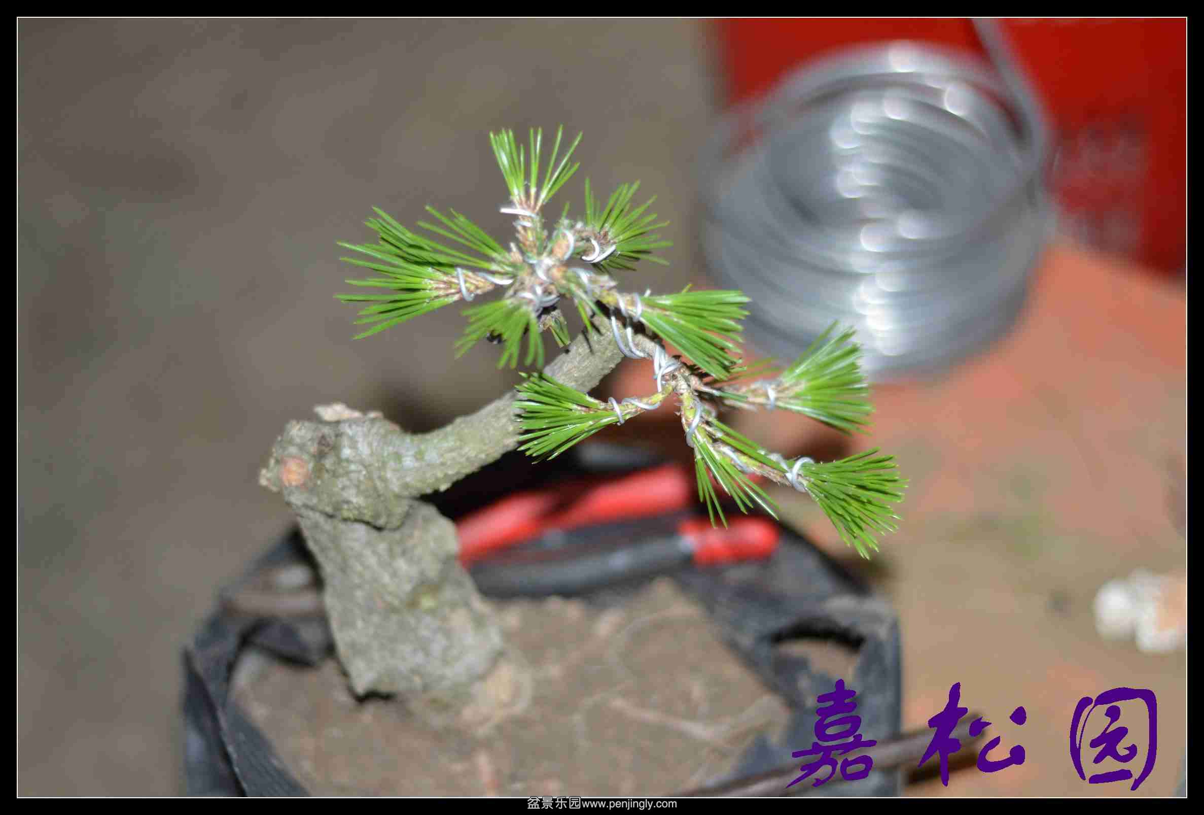 20140609 012.JPG