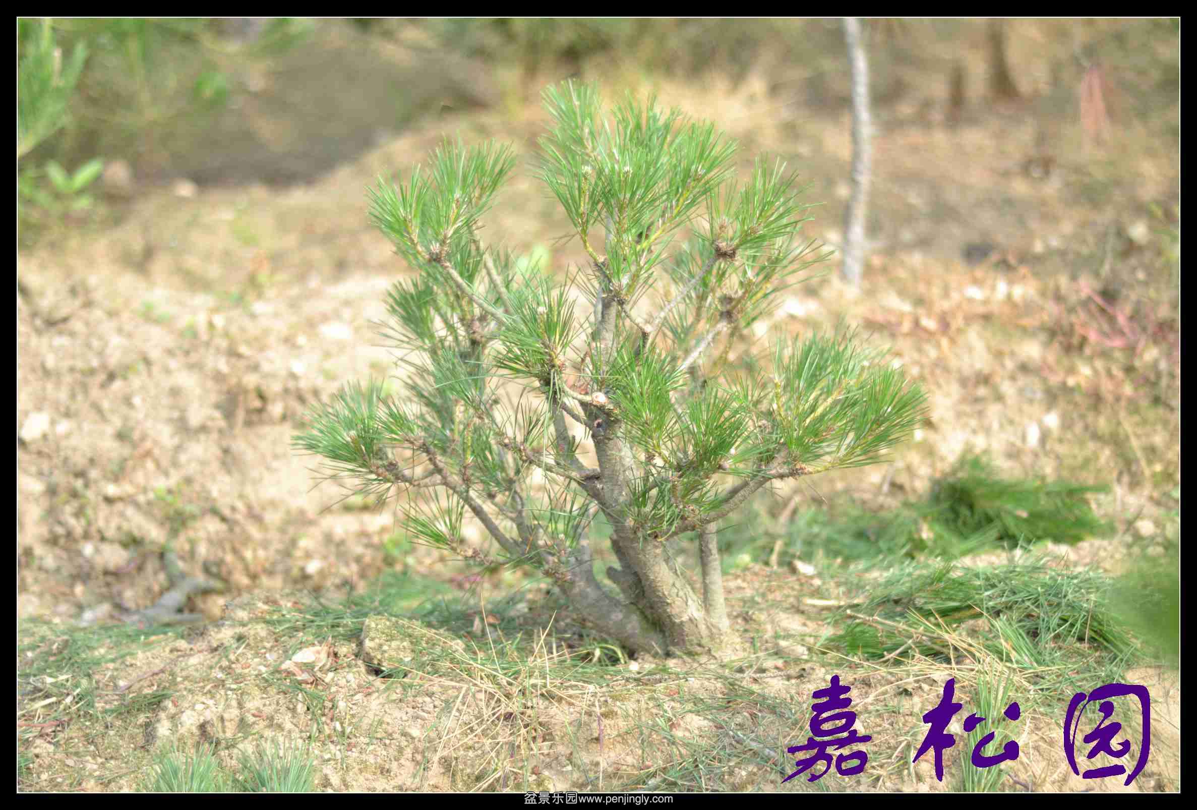 20140610 013.JPG