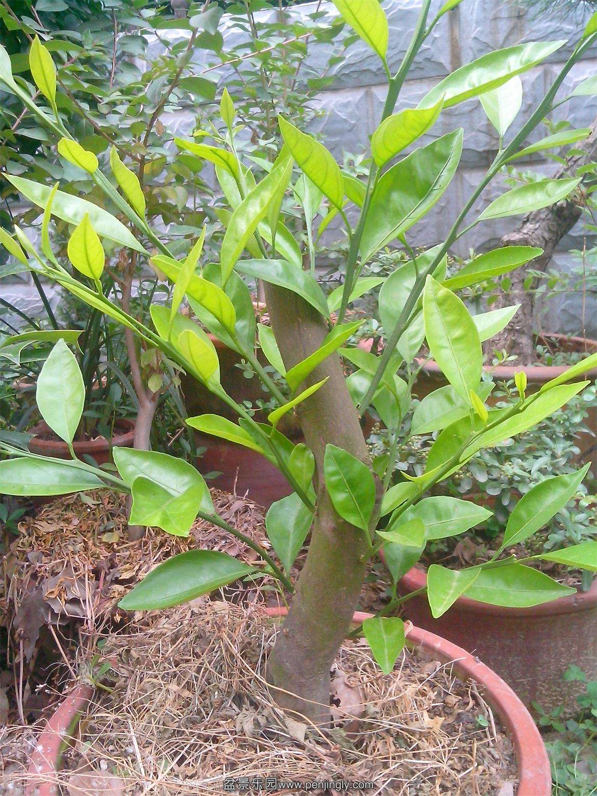 IMG20140609001.jpg