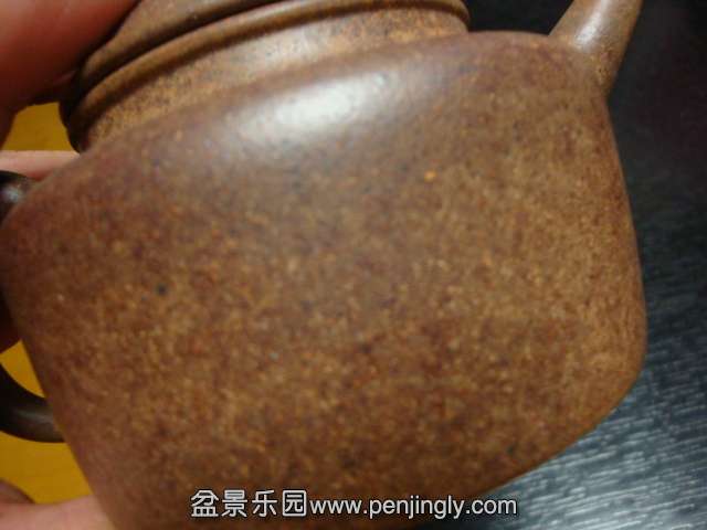 DSC08426.JPG