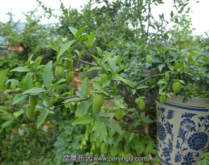 QQͼƬ20140611115702.jpg