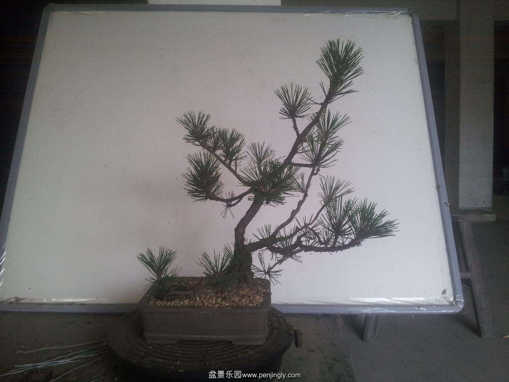 20140611_150018--a.JPG