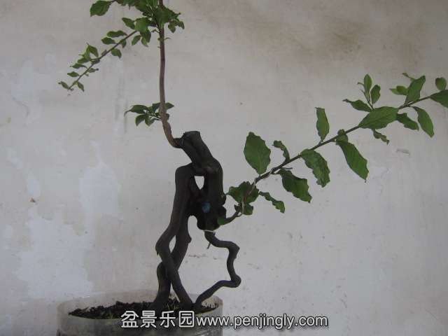 Ƭ 104.jpg